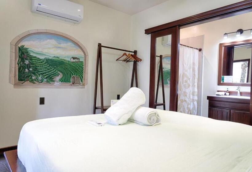 غرفة قياسية, Hona Beach