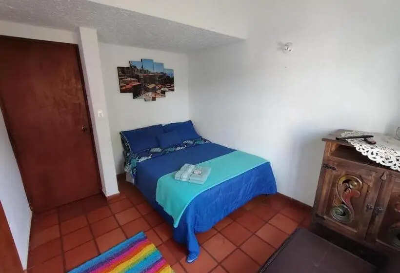 Standard-huone Puutarhanäkymä, Hospedaje La Casa De Chavela Centro Histórico