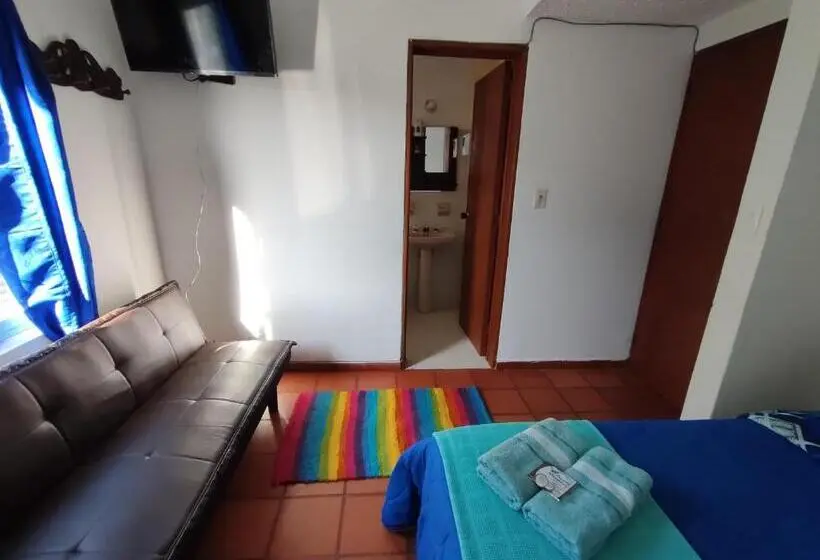 Standard-huone Puutarhanäkymä, Hospedaje La Casa De Chavela Centro Histórico