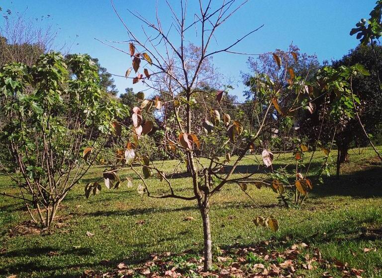Семейный Номер, Pousada Rural Paiol Dos Pellizzaro
