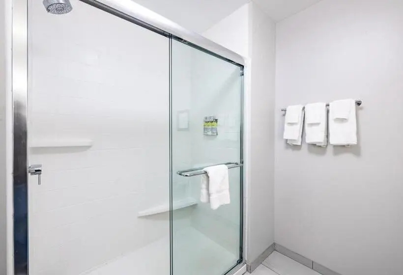 Standard-huone King-vuode, Holiday Inn Express & Suites   Lincoln Downtown , An Ihg