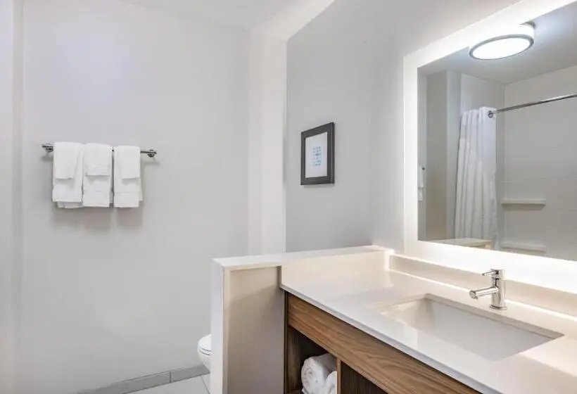Standard-invahuone King-vuode, Holiday Inn Express & Suites   Lincoln Downtown , An Ihg