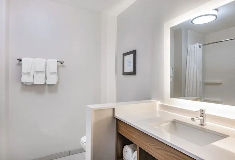 Standard-huone, Holiday Inn Express & Suites   Lincoln Downtown , An Ihg