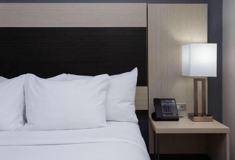 身障者適用キングサイズベッドルーム, La Quinta Inn & Suites By Wyndham Shorewood