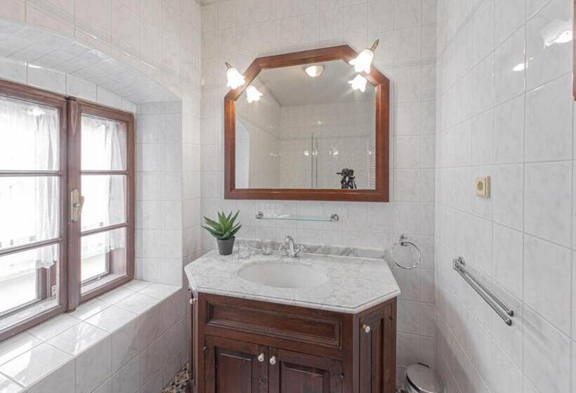 １ベッドルームのデラックスアパートメント, Salamander   Garni