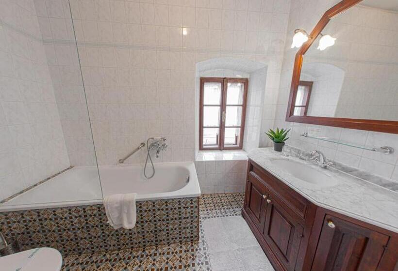 １ベッドルームのデラックスアパートメント, Salamander   Garni