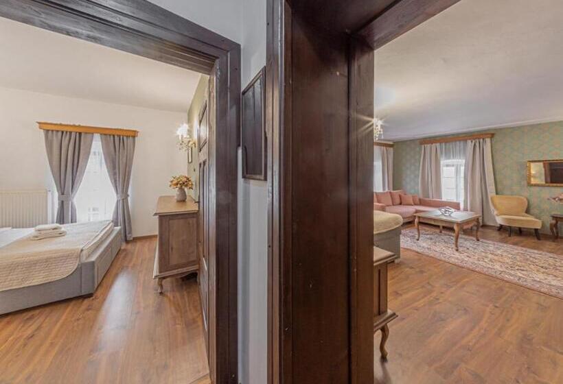 １ベッドルームのデラックスアパートメント, Salamander   Garni