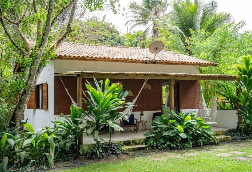 Номер Стандарт, Brisa Da Bahia