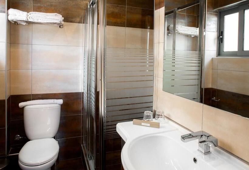 スタンダードシングルルーム, Areos