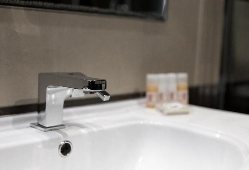 スタンダードシングルルーム, Areos