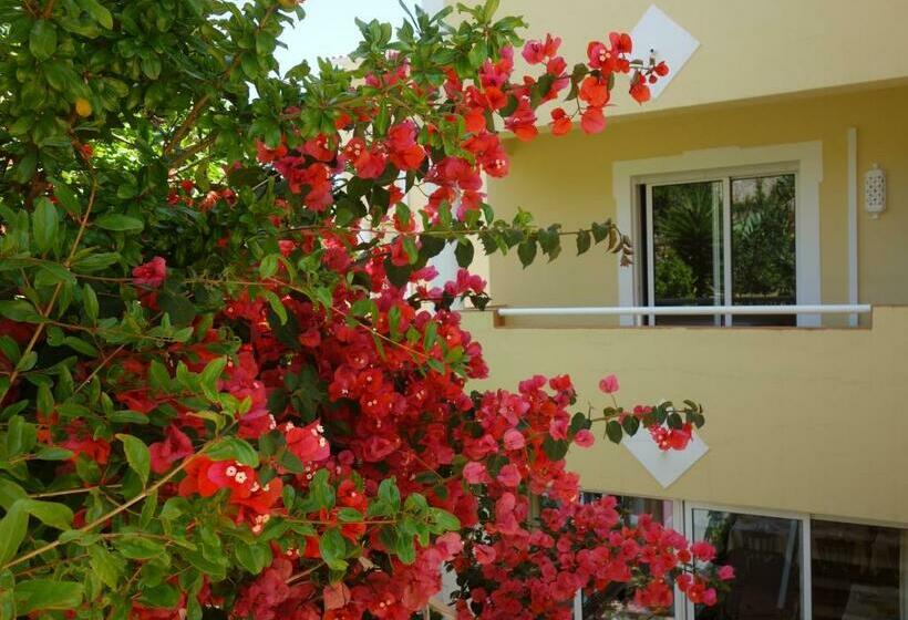 Номер Стандарт, Aurora Sol