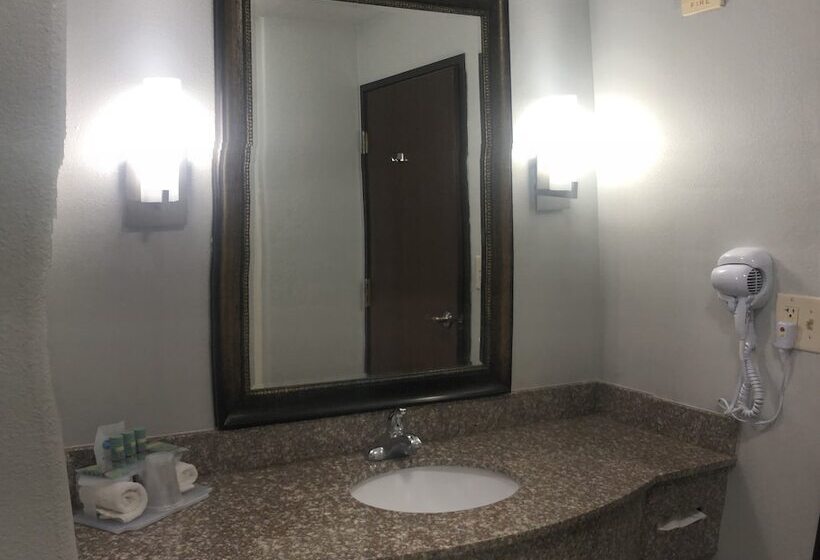 سوییت, Best Western Medical Center North Inn & Suites Near Six Flags