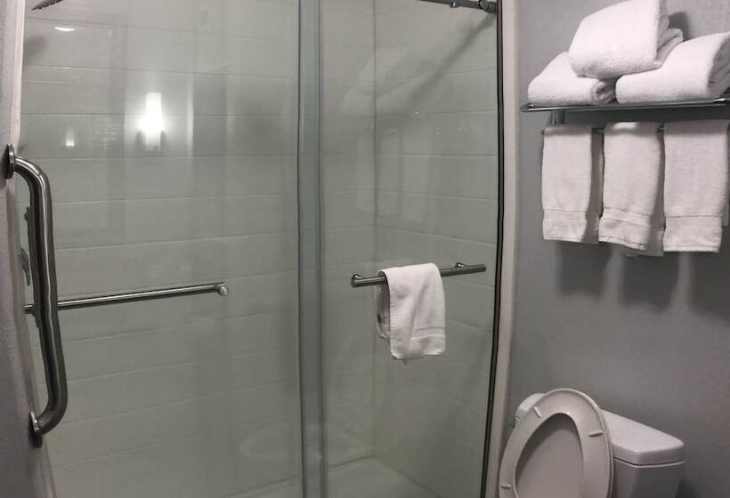 سوییت, Best Western Medical Center North Inn & Suites Near Six Flags