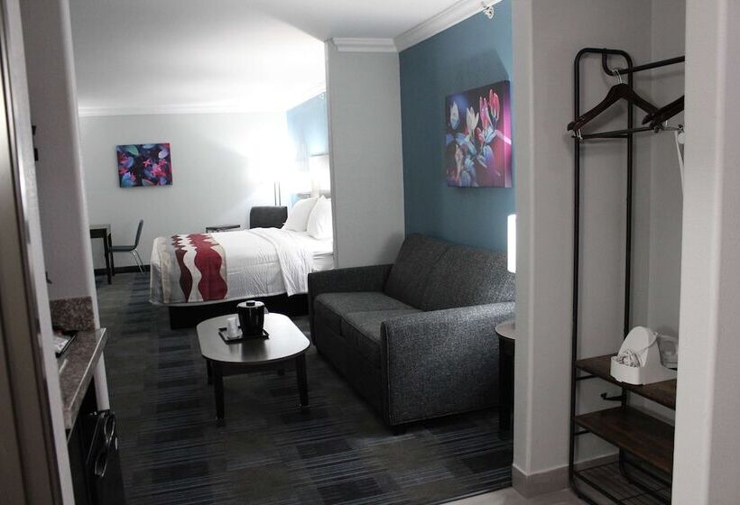 سوییت, Best Western Medical Center North Inn & Suites Near Six Flags