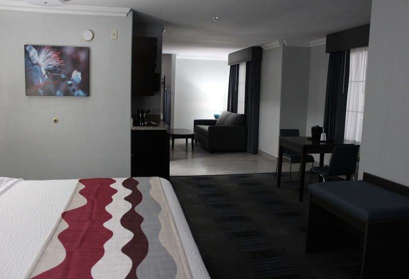 سوییت, Best Western Medical Center North Inn & Suites Near Six Flags