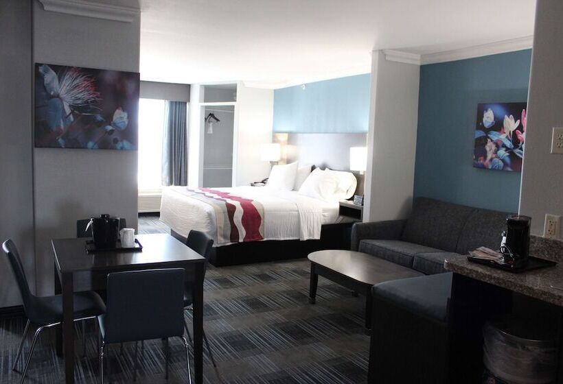 سوییت, Best Western Medical Center North Inn & Suites Near Six Flags