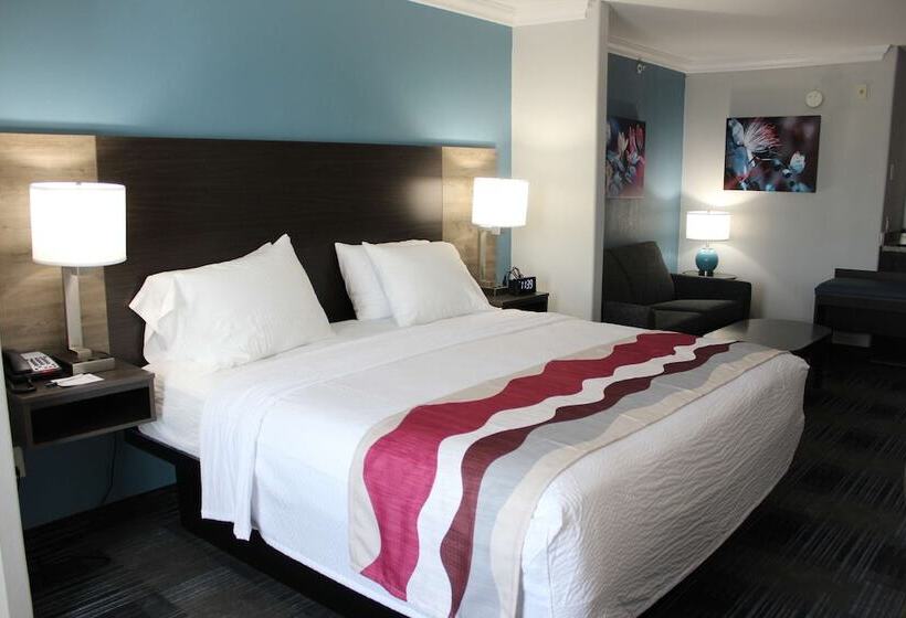 سوییت, Best Western Medical Center North Inn & Suites Near Six Flags