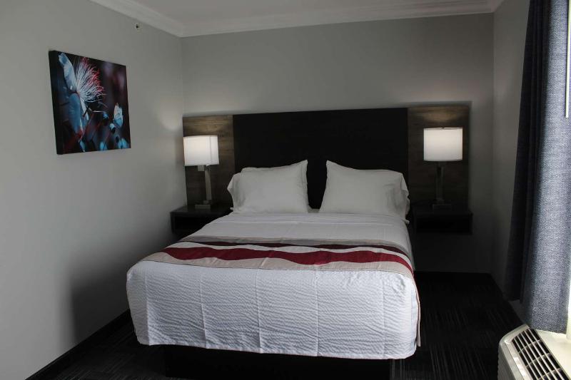 Suite, Best Western Medical Center North Inn & Suites Near Six Flags
