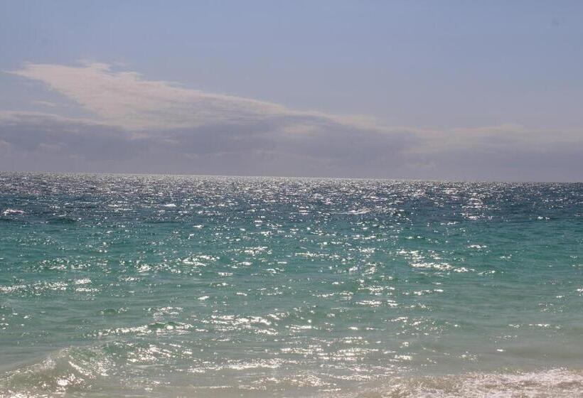 海景标准间带阳台, Ndiro Beach House Kendwa