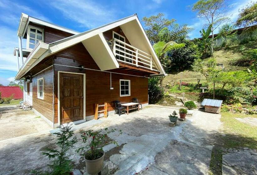 דירת שני חדרים, Lily Cottage & Kitchen