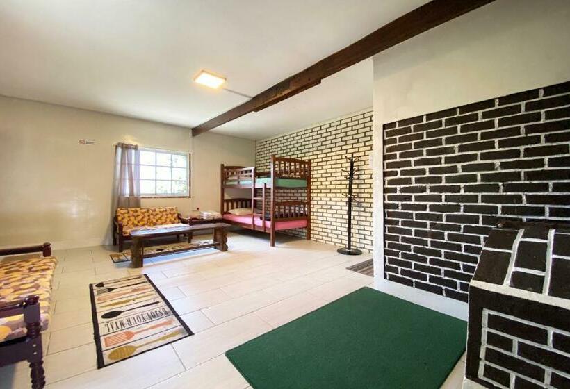 דירת שני חדרים, Lily Cottage & Kitchen