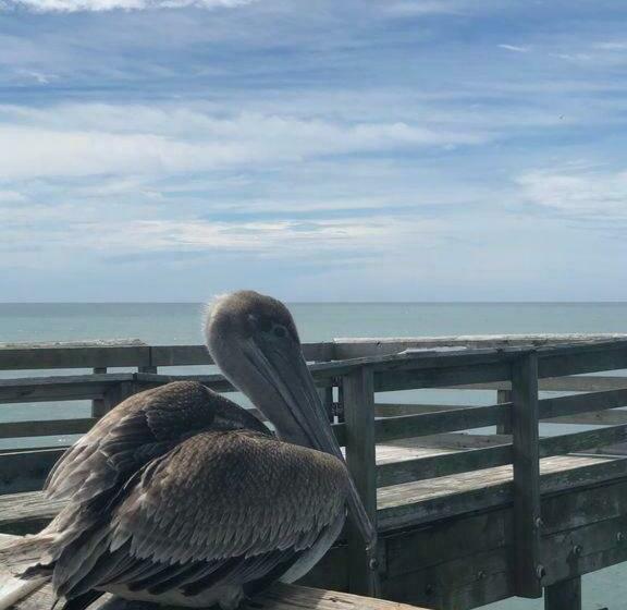 غرفة عائلية مطلّة علي البحر, Luxury 2 Beds 2 Bath Ocean Front Condo