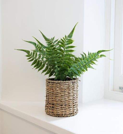 غرفة قياسية سرير كينج, Park View R & R   Adult Only   Self Catering   Free Parking   Ev Point