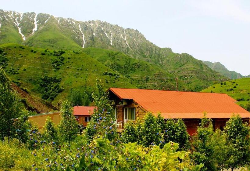 חדר סטנדרט יחיד, Lucytour