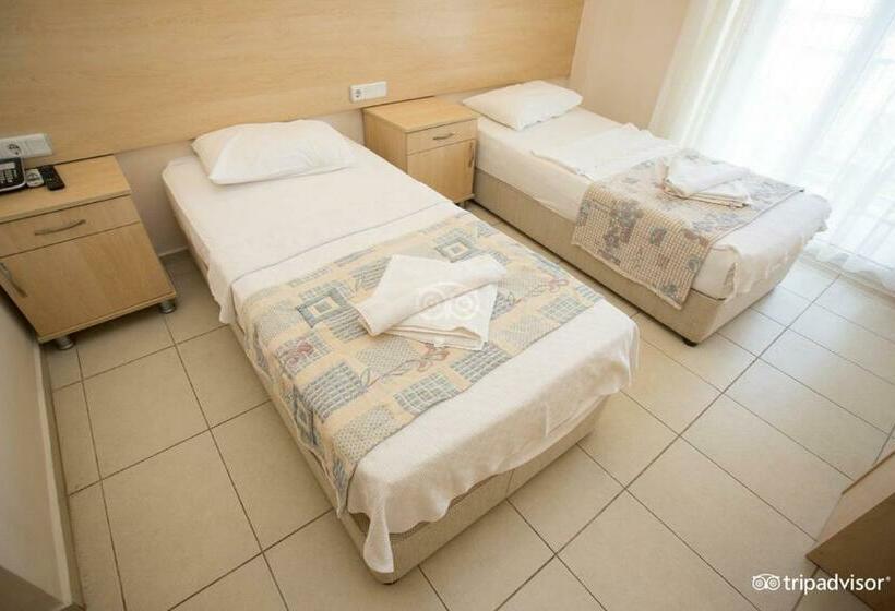 חדר סטנדרט, Viras