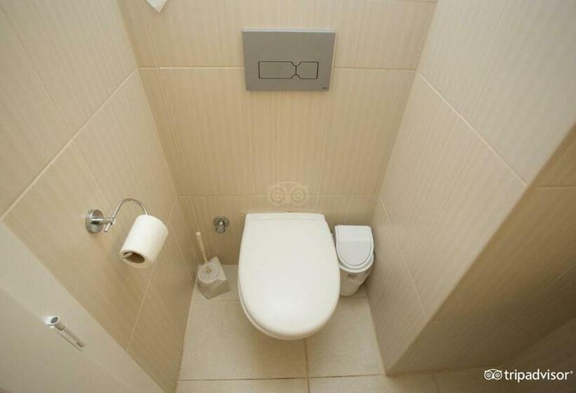 חדר סטנדרט, Viras