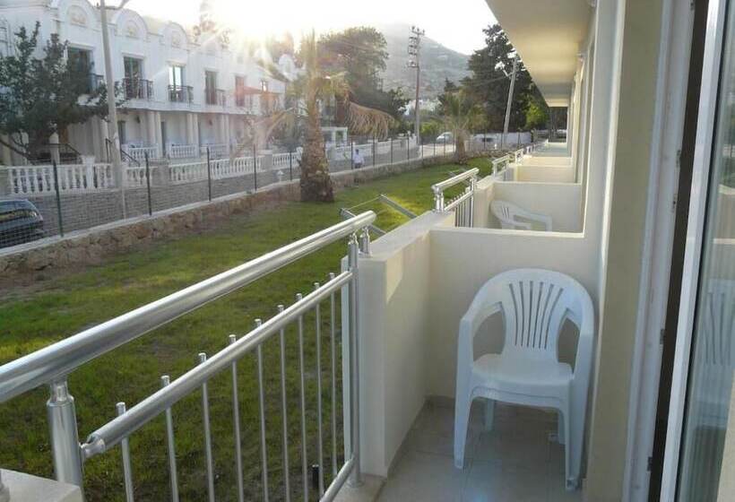 חדר סטנדרט, Viras