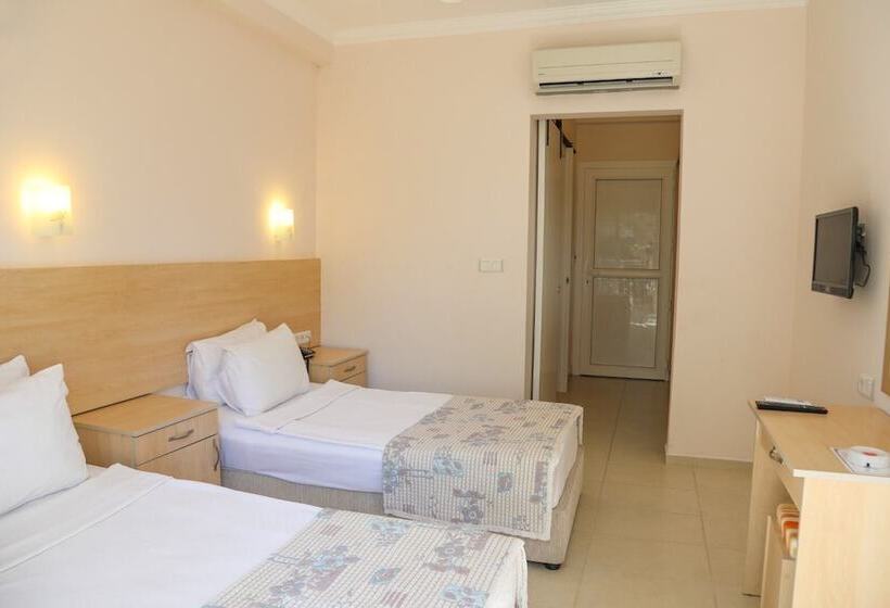 חדר סטנדרט, Viras