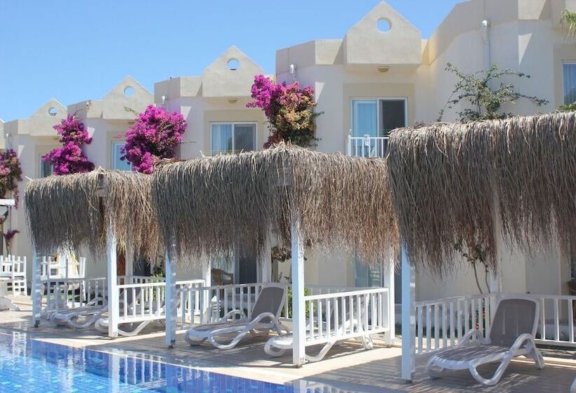 חדר סטנדרט לשלושה, Viras