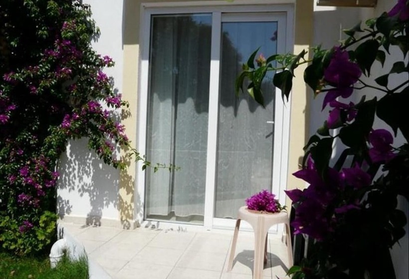 חדר סטנדרט לשלושה, Viras