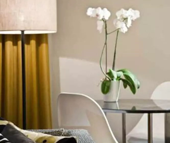 آپارتمان 2 خوابه, Adina Apartment Hotel Berlin Mitte