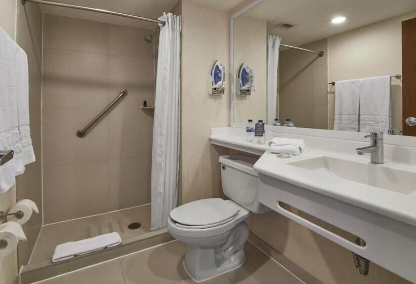 غرفة قياسية, City Express By Marriott Puebla Angelopolis