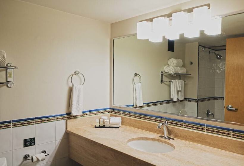 سوییت, Embassy Suites By Hilton Dorado Del Mar Beach Resort