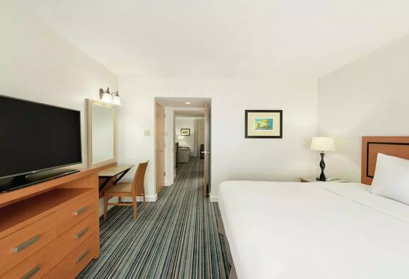 سوییت با چشم‌انداز جانبی دریا, Embassy Suites By Hilton Dorado Del Mar Beach Resort