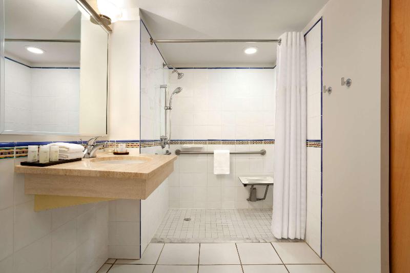 سوئیت با تخت بزرگ, Embassy Suites By Hilton Dorado Del Mar Beach Resort