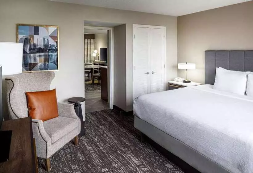 سوئیت با تخت بزرگ, Embassy Suites By Hilton Dorado Del Mar Beach Resort