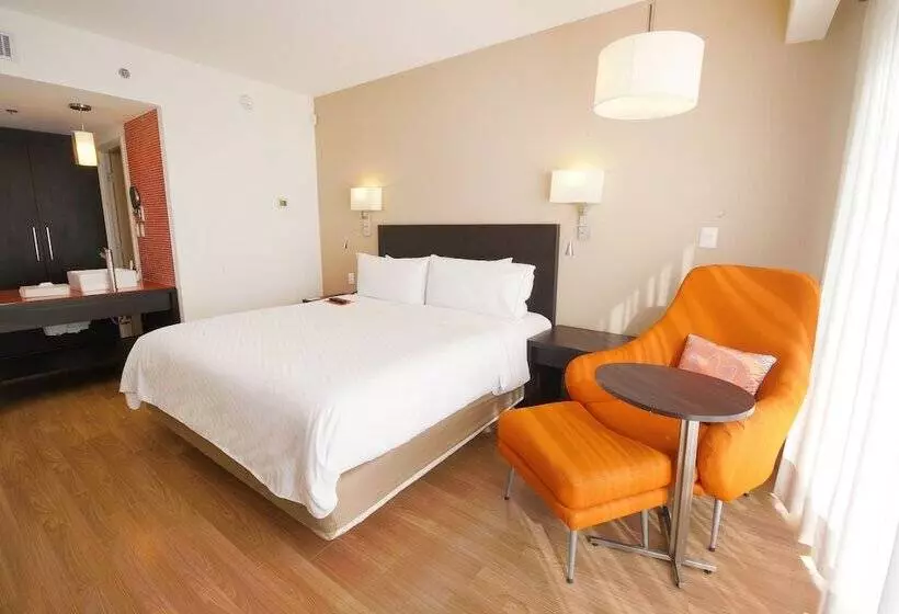 اتاق سوپریور, Fiesta Inn Express Ciudad Obregón