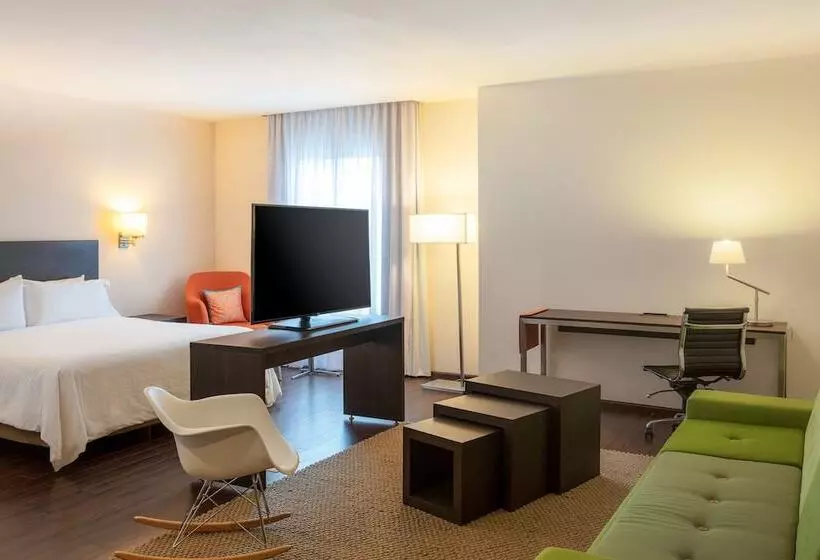 سوییت جونیور, Fiesta Inn Monterrey Fundidora