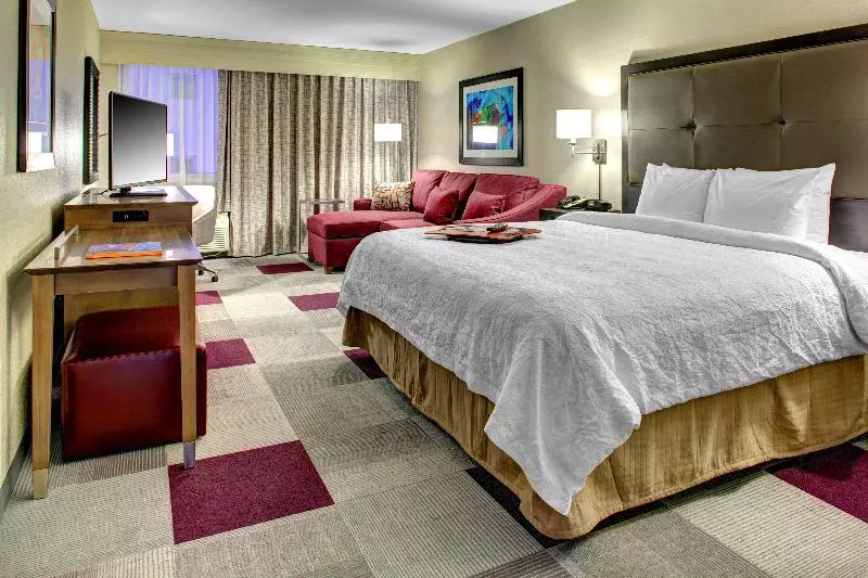 اتاق استاندارد با تخت بزرگ, Hilton Garden Inn Great Falls