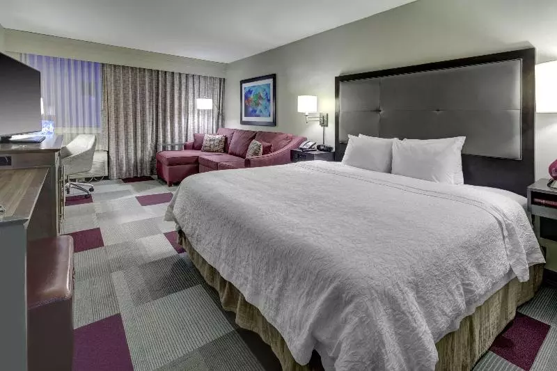 اتاق استاندارد با تخت بزرگ, Hilton Garden Inn Great Falls
