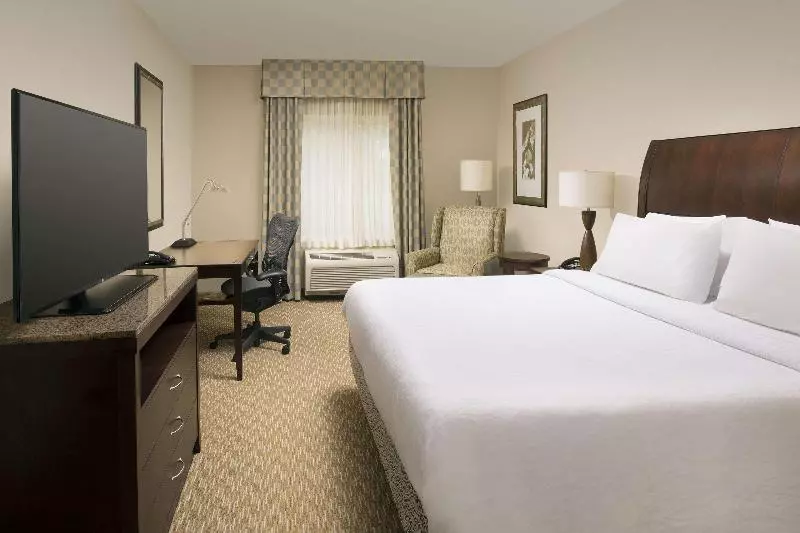 اتاق استاندارد با تخت بزرگ, Hilton Garden Inn Huntsville South/redstone Arsenal