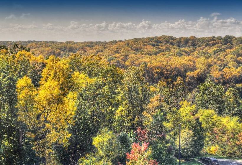 带2个双人床的标准工作室, Sheraton Baltimore Washington Airport   Bwi