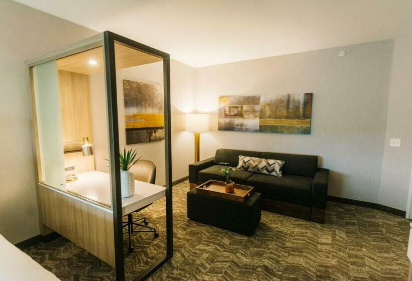 Люкс, Springhill Suites By Marriott Birmingham Gardendale