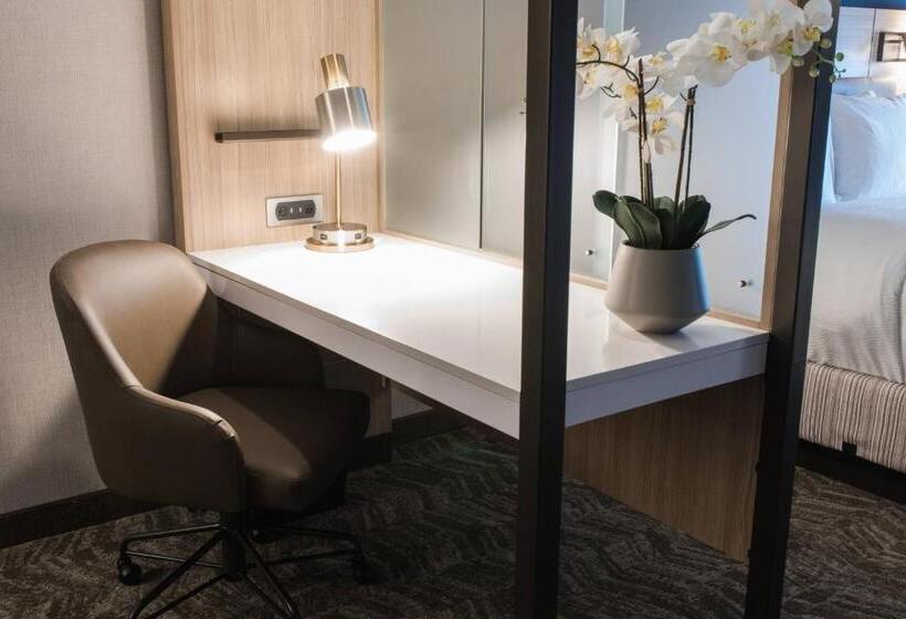 جناح سرير كينج, Springhill Suites By Marriott Birmingham Gardendale