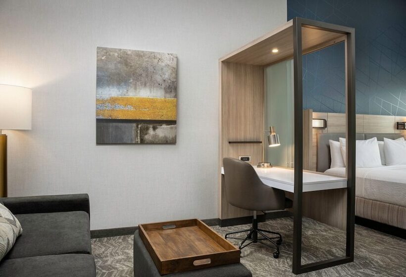 جناح, Springhill Suites By Marriott Birmingham Gardendale