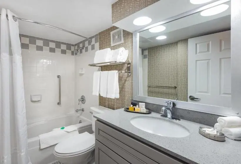 سوئیت با تخت بزرگ, The Americus Hotel, Trademark Collection By Wyndham